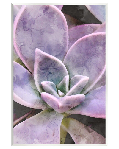Stupell Purple Succulent Close Up Wall Plaque Wall Art By Daphne Polselli