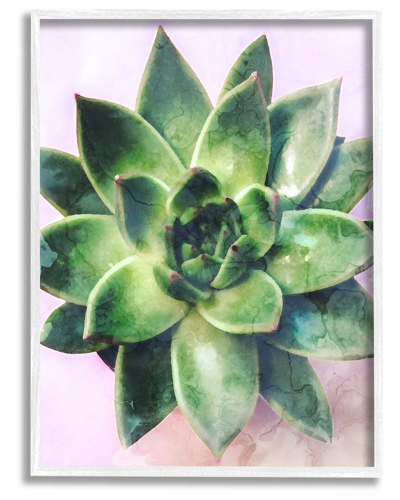 Stupell Round Succulent Plant Leaves Framed Giclee Wall Art By Daphne Polselli