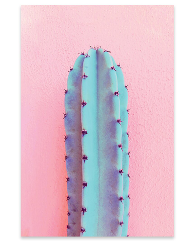 Icanvas Lonely Cactus Print On Acrylic Glass By Emanuela Carratoni