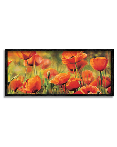 STUPELL WILD POPPY FLOWERS SPRING BLOOMS FRAMED GICLEE WALL ART BY PIERRE VIOLLET 