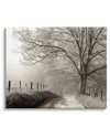 STUPELL RURAL SCENERY FENCED PATH CANVAS WALL ART BY DANITA DELIMONT