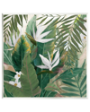 Stupell Tropical Birds Of Paradise Plant Wall Plaque Wall Art By Nan