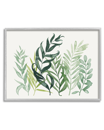 Stupell Layered Plant Leaves Botanical Framed Giclee Wall Art By Grace Popp