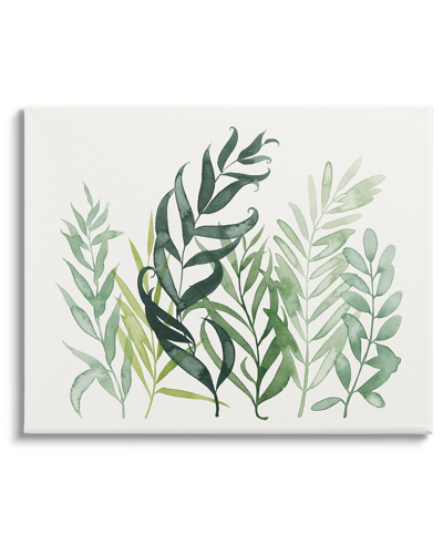 Stupell Layered Plant Leaves Botanical Canvas Wall Art By Grace Popp
