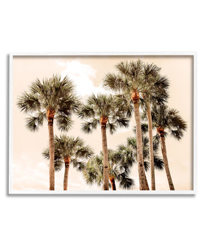 Stupell Summer Palm Trees Sky Framed Giclee Wall Art By Natalie Carpentieri