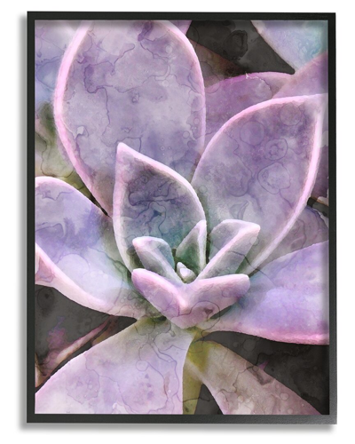 Stupell Purple Succulent Close Up Framed Giclee Wall Art By Daphne Polselli