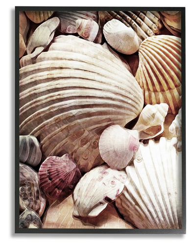 Stupell Various Nautical Clam Conch Shells Framed Giclee Wall Art By Ashley Aldridge