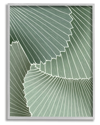 Stupell Modern Abstract Patterned Leaves Framed Giclee Wall Art By Ziwei Li