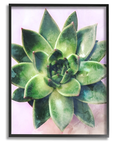 Stupell Round Succulent Plant Leaves Framed Giclee Wall Art By Daphne Polselli