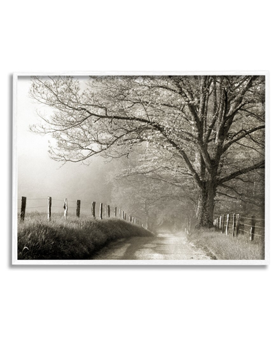 Stupell Rural Scenery Fenced Path Framed Giclee Wall Art By Danita Delimont