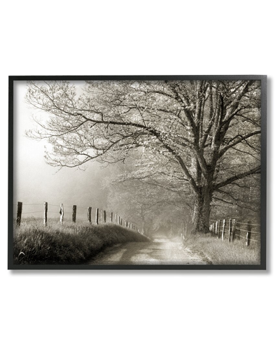 Stupell Rural Scenery Fenced Path Framed Giclee Wall Art By Danita Delimont