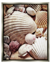 Stupell Various Nautical Clam Conch Shells Framed Floater Canvas Wall Art By Ashley Aldridge
