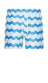 Onia Charles 5 Shorts In Pool Blue Multi