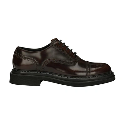 Dolce & Gabbana Brushed Calf Leather Oxford Shoes In Toffee_colour