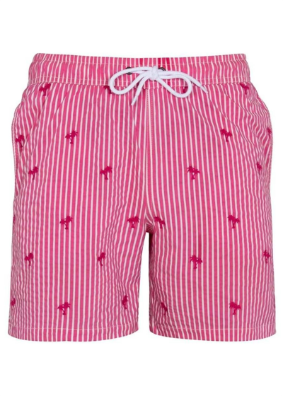 Alan Paine Men's Granton Embroidered Swim Suit In Pink