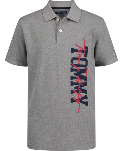 Tommy Hilfiger Little Boys Short Sleeves In Between Polo T-shirt In Gray Heather