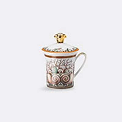 Rosenthal Tea And Coffee Multicolor Uni