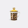 Rosenthal Tea And Coffee Multicolor Uni In Multicolor