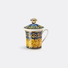Rosenthal Tea And Coffee Multicolor Uni In Multicolor