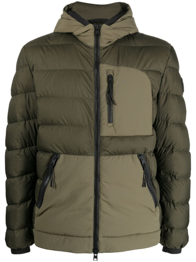 Woolrich Padded Feather-down Jacket In Dark Green