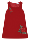 Dolce & Gabbana Rose-embroidered Dress In Red