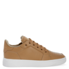 Giuseppe Zanotti Perforated Leather Sneakers In Beige