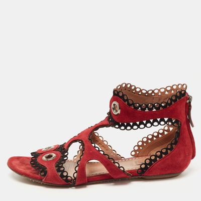 Pre-owned Alaïa Burgundy Suede Scallop Trim Eyelet Embellished Ankle Cuff Flat Sandals Size 39