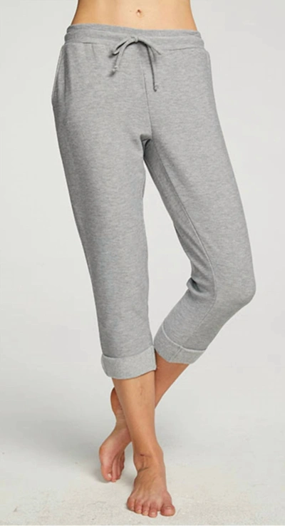 Chaser Rpet Cozy Knit Cropped Roll Hem Jogger In Heather Grey