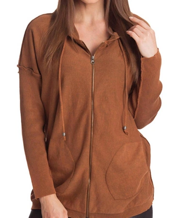 Angel Stonewash Hoodie W/ Pocket In Mocha In Brown