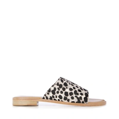 EMU AUSTRALIA WOMEN'S GANNET SANDAL IN LEOPARD PRINT