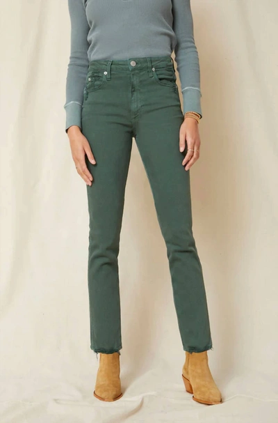 Amo Chelsea Crop Pant In Evergreen In Green