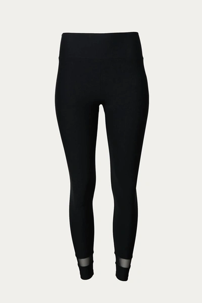 Lanston Lift Mesh Panel Legging In Black