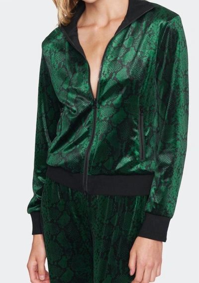Pam & Gela Stripe Snake Track Jacket In Evergreen In Green