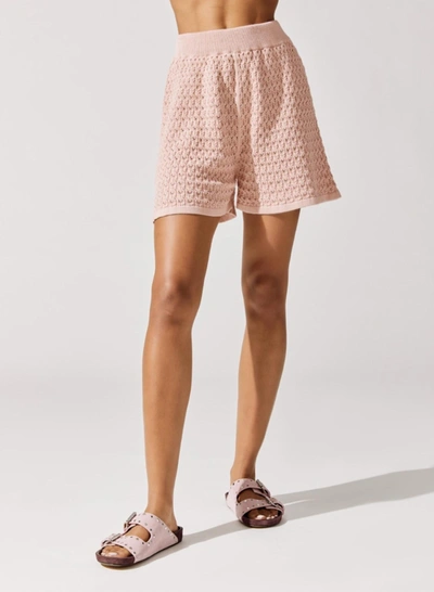 Mr Mittens Pointelle-knit Cotton Shorts In Pink