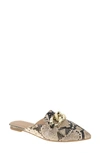 BCBGENERATION KAYLIN POINTED TOE MULE