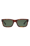 Persol 55mm Havana Rectangular Sunglasses In Havana