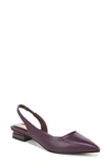 Franco Sarto Tyra Pointed Toe Slingback Flat In Purple