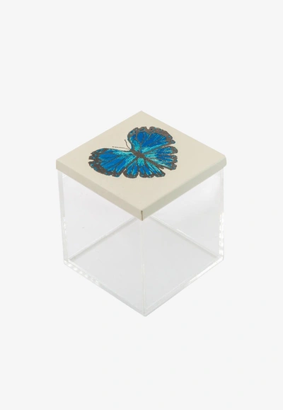 Stitch Butterfly Acrylic Box In Blue
