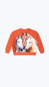 Molo Mandy Sweatshirt In Multi