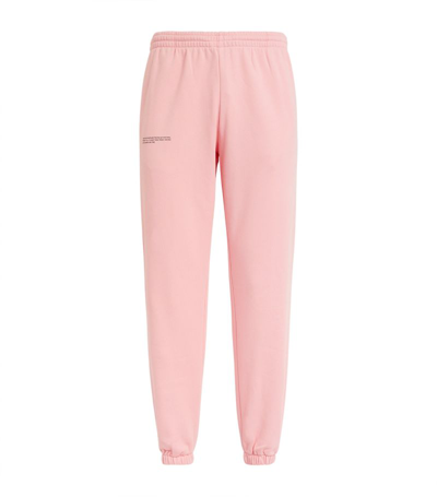 Pangaia Organic Cotton 365 Sweatpants In Pink