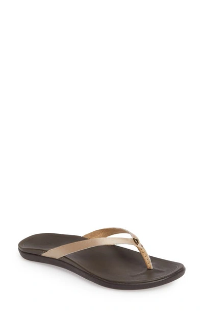 Olukai Ho Opio Leather Flip Flop In Grey