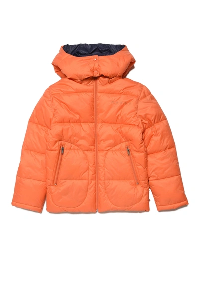 Marni Kids' Detachable-hood Padded Jacket In Orange