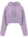 Ganni Isoli Hoodie