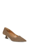 Sarto By Franco Sarto Diva Pointed Toe Pump In Woodsmoke