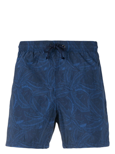 Canali Badeshorts Mit Feder-print In Blue