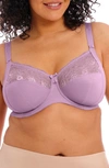 Elomi Morgan Full Figure Underwire Bra In Wisteria