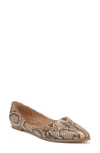 Zodiac Hill Pointy Toe Flat In Desert Multi