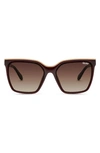 Quay Level Up 61mm Gradient Square Sunglasses In Chocolate / Brown