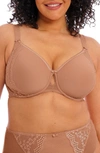 Elomi Charley Full Figure Spacer Underwire Bra In Cinnamon