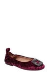 Linea Paolo Minax Velvet Ballet Flat In Burgundy